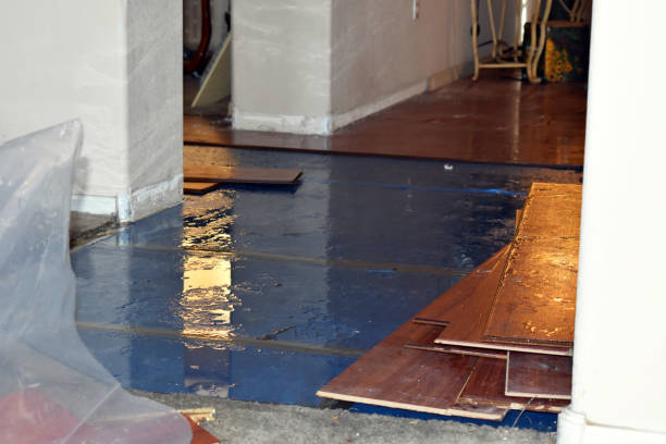 Professional Basement Flood Cleanup technician working in Philmont, NY